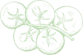 shape